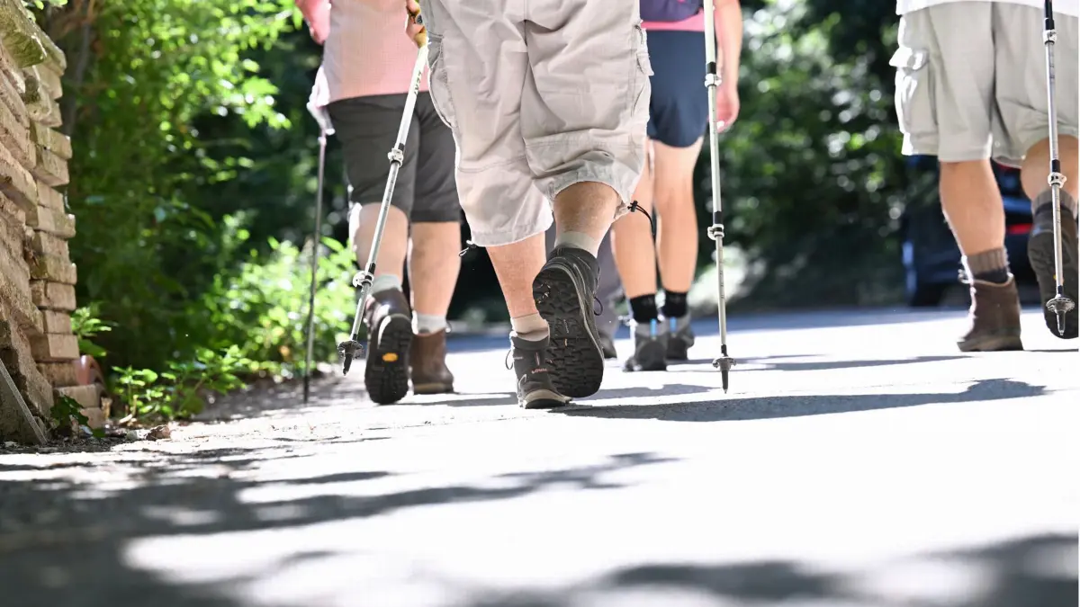 03.08.2022, Baden-Württemberg, Fellbach: Eine Wandergruppe läuft beim Deutschen Wandertag mit dem Motto: "Genieße das Wandertal" bei Fellbach auf einer Wanderung auf einem Waldweg. Der Deutsche Wandertag ist das größte und älteste Wanderfest und wird seit 1883 vom Deutschen Wanderverband organisiert. Foto: Bernd Weißbrod/dpa +++ dpa-Bildfunk +++