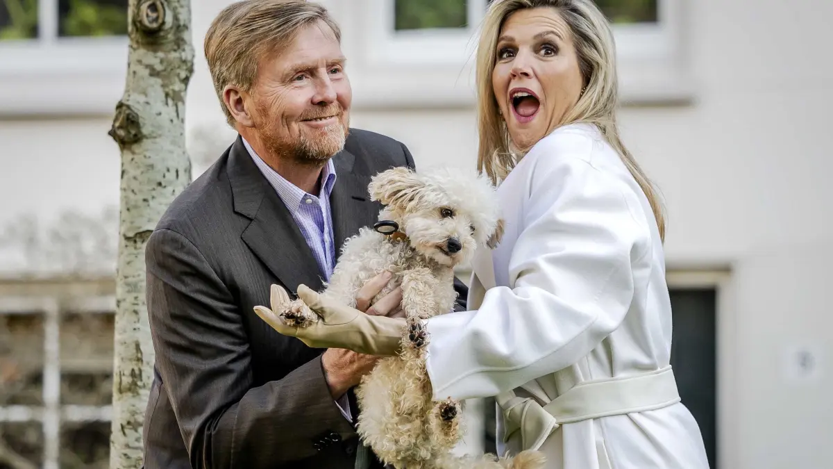Königsfamilie der Niederlande - Fototermin: 29.11.2024, Niederlande, Amsterdam: König Willem-Alexander der Niederlande und Königin Maxima zeigen sich mit Hund Mambo bei einem Fototermin der Königsfamilie im Begijnhof in Amsterdam. Foto: Remko De Waal/ANP/dpa +++ dpa-Bildfunk +++