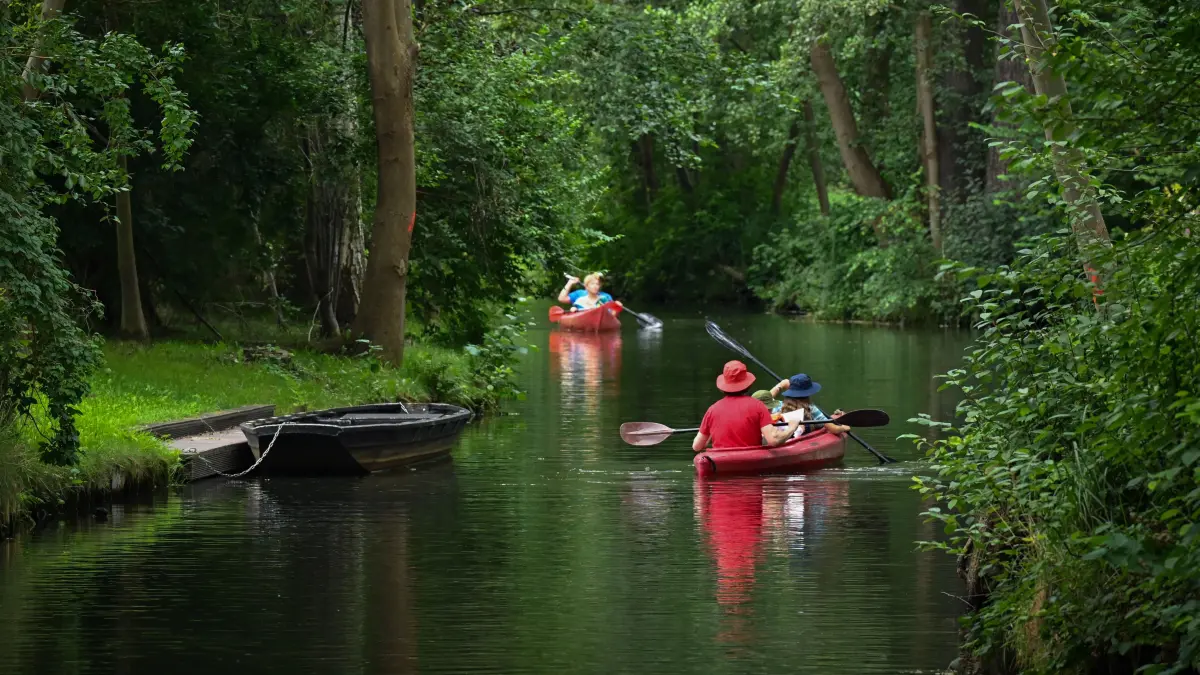 Urlauber unternehmen in Paddelbooten einen Ausflug auf einem Fließ (Wasserweg) im Spreewald. Die Gesamtlänge der etwa 300 Fließe im Biosphärenreservat Spreewald beträgt rund 1600 Kilometer. (zu dpa: «Tourismus in Brandenburg im Aufwind») +++ dpa-Bildfunk +++