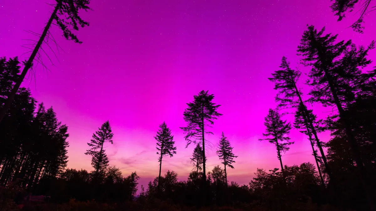 Polarlichter erscheinen am nächtlichen Himmel.