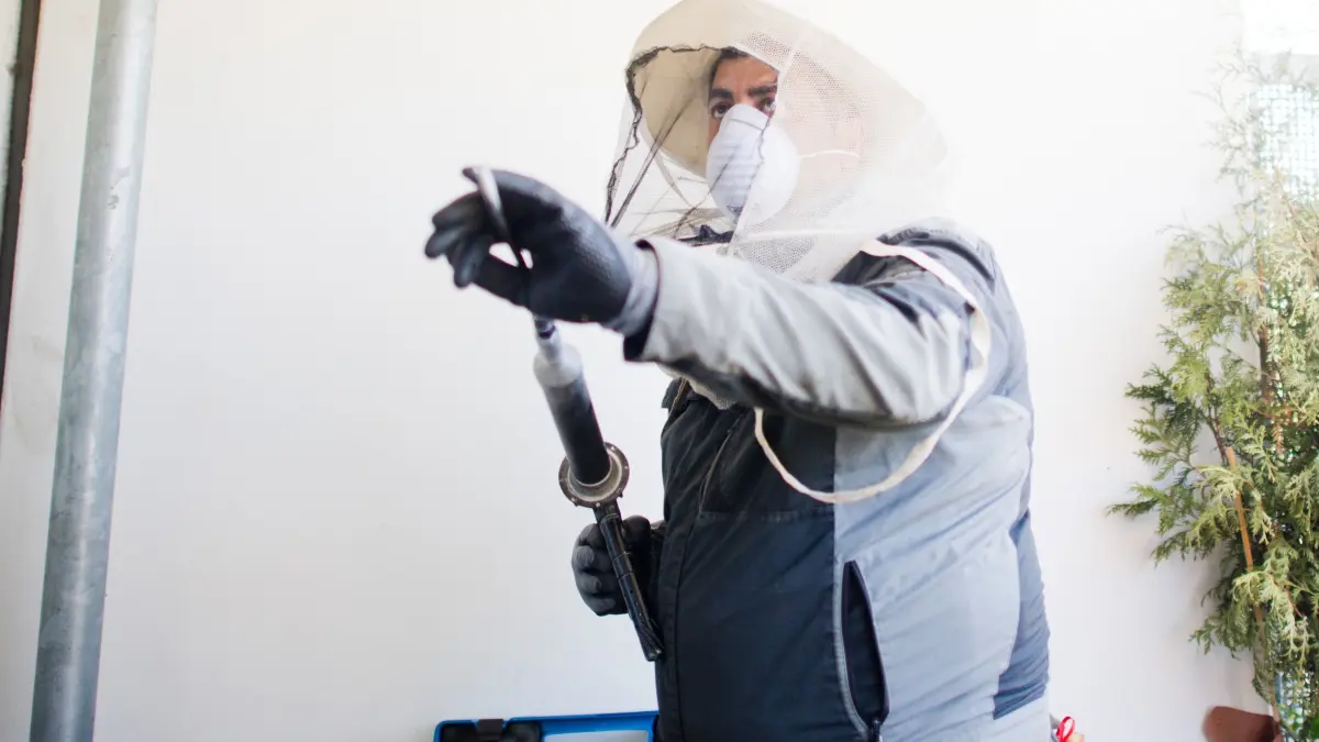 24.07.2018, Niedersachsen, Hannover: Schädlingsbekämpfer Cesar Aiello bekämpft mit Insektiziden ein Wespennest auf einen Balkon eines Mehrfamilienhauses. Die Kammerjäger haben im Moment alle Hände voll zu tun: Das Jahr 2018 ist ein gutes Wespenjahr und die Schädlingsbekämpfer müssen immer mehr Wespennester entfernen. (zu dpa "Wespenplage in Niedersachsen?" vom 25.07.2018) Foto: Julian Stratenschulte/dpa +++ dpa-Bildfunk +++
