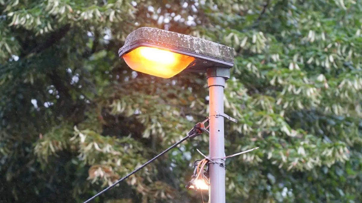 Insekten befallen ein Schalthäuschen - Straßenlaternen bleiben an: 17.07.2025, Berlin: Eine Straßenlaterne brennt in Berlin Biesdorf. In Berlin Biesdorf brennen rund 80 Straßenlaternen rund um die Uhr. Grund dafür ist der Befall eines Schalthäuschen für Strom durch Insekten. Zuständig für die öffentliche Straßenbeleuchtung ist die Senatsverwaltung für Mobilität, Verkehr, Klimaschutz und Umwelt (MVKU). Foto: Manuel Genolet/dpa +++ dpa-Bildfunk +++