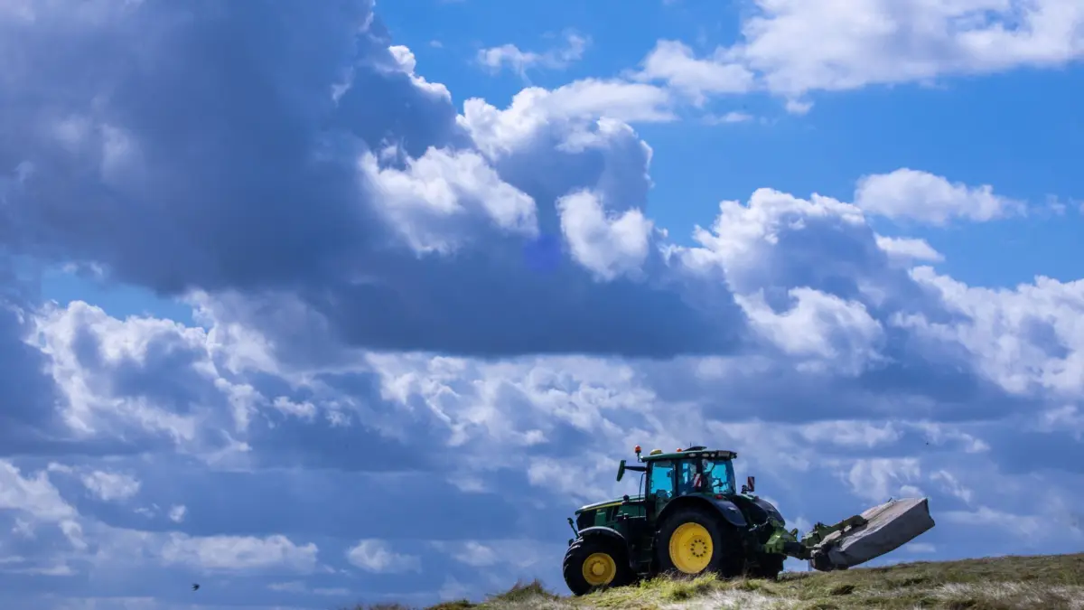 Feldarbeiten bei trockenem Wetter: 12.09.2025, Mecklenburg-Vorpommern, Medewege: Ein Traktor ist mit einem Mähbalken vor einer dunklen Wolkenkulisse auf einer Wiese unterwegs. Das trockene und milde Wetter nutzen die Landwirte derzeit in Norddeutschland für anstehende Feldarbeiten. Foto: Jens Büttner/dpa +++ dpa-Bildfunk +++