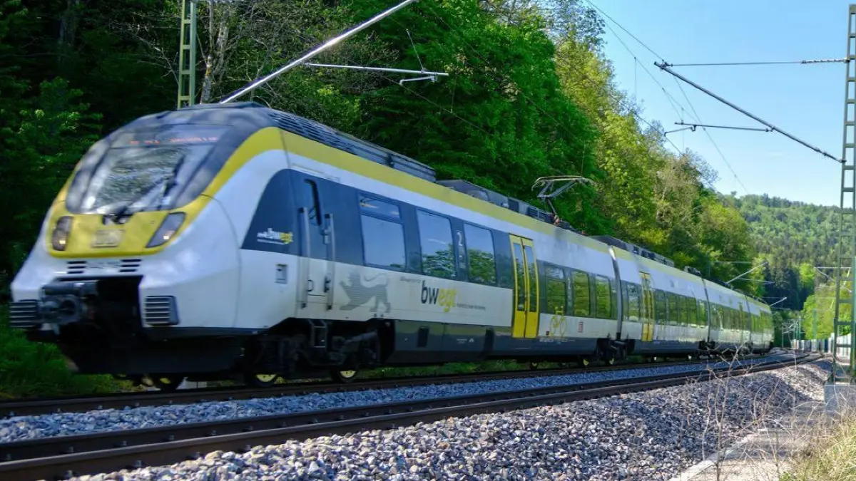 Die Zukunft der Gäubahn bewegt die Gemüter.