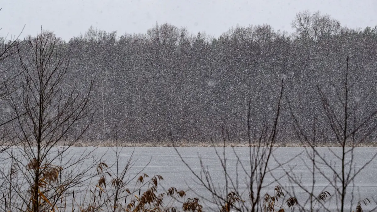 Winterwetter in Berlin und Brandenburg: ARCHIV - 02.01.2026, Brandenburg, Petersdorf: Ein wenig Schnee fällt am Petersdorf See im östlichen Brandenburg. Berlin und Brandenburg erwarten am Samstag ein paar Schneeflocken oder Schneegriesel. (zu dpa: «Kälte in Berlin und Brandenburg hält an») Foto: Patrick Pleul/dpa +++ dpa-Bildfunk +++