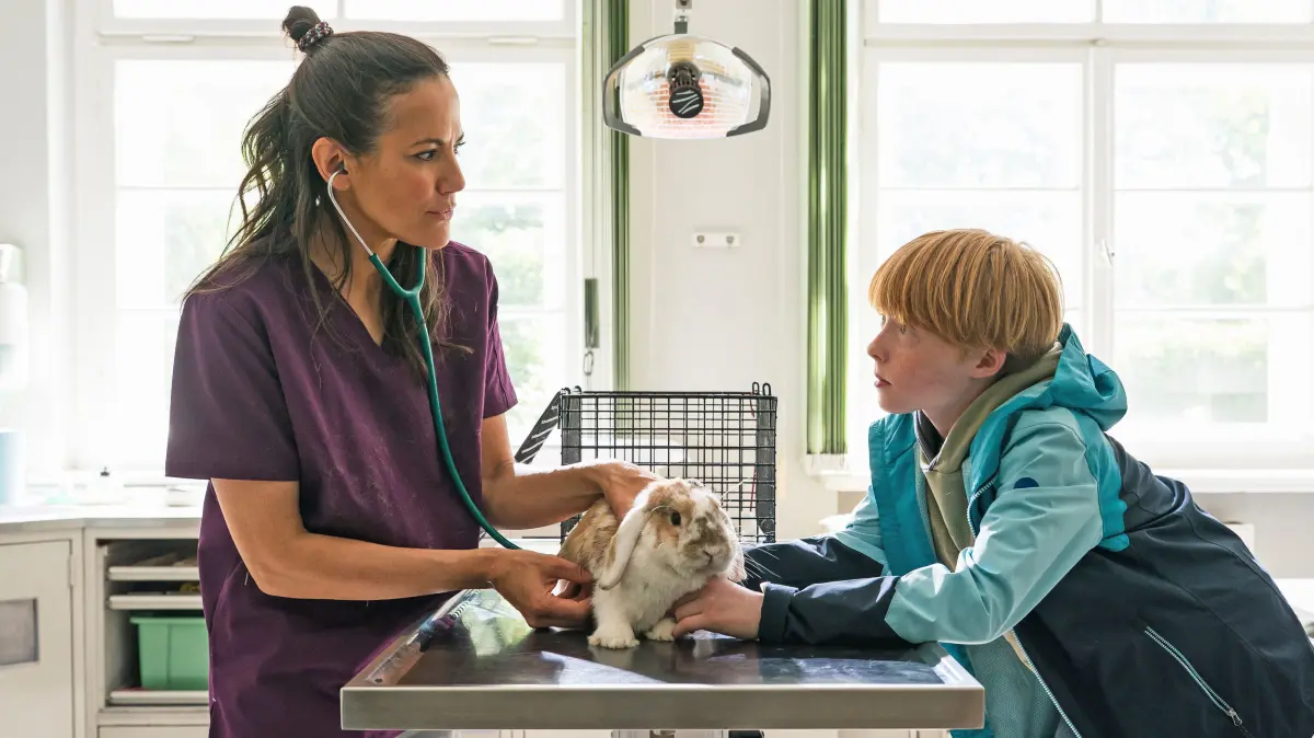 Der 13-jährige Jannik Schiebold (Felix Nölle) sucht mit seinem Kaninchen Thea die Praxis „Freydank & Kramer“ auf.
