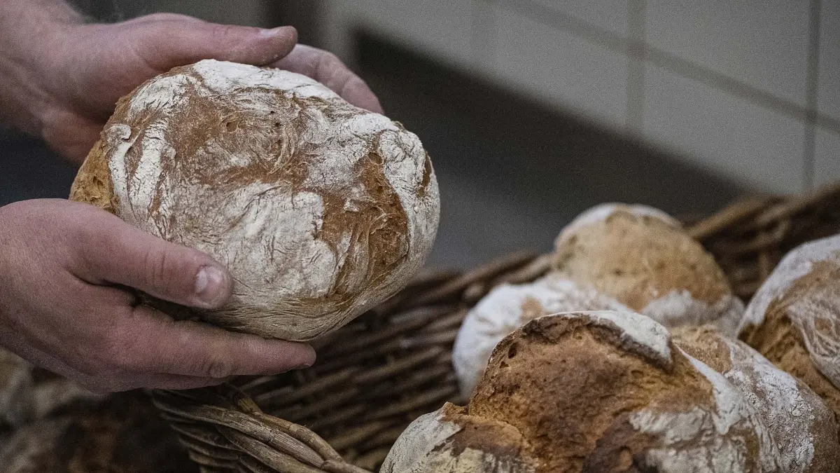 Ein Bäcker hält in der Backstube von "Der Göttinger Feuerbäcker" ein Brot. Die Kostensteigerungen für Energie, Treibstoffe und Mehl bringen das Bäckerei-Handwerk zunehmend in Schwierigkeiten. +++ dpa-Bildfunk +++