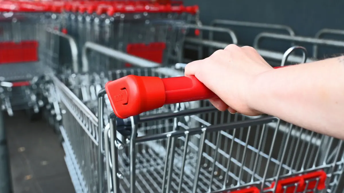 ifo-Konjunkturprognose - Konsumverhalten in Deutschland: ARCHIV - 11.06.2025, Sachsen, Leipzig: Eine Einkäuferin schiebt einen Einkaufswagen vor einem Supermarkt. (zu dpa: «Verbraucherstimmung bricht nicht weiter ein») Foto: Elisa Schu/dpa +++ dpa-Bildfunk +++