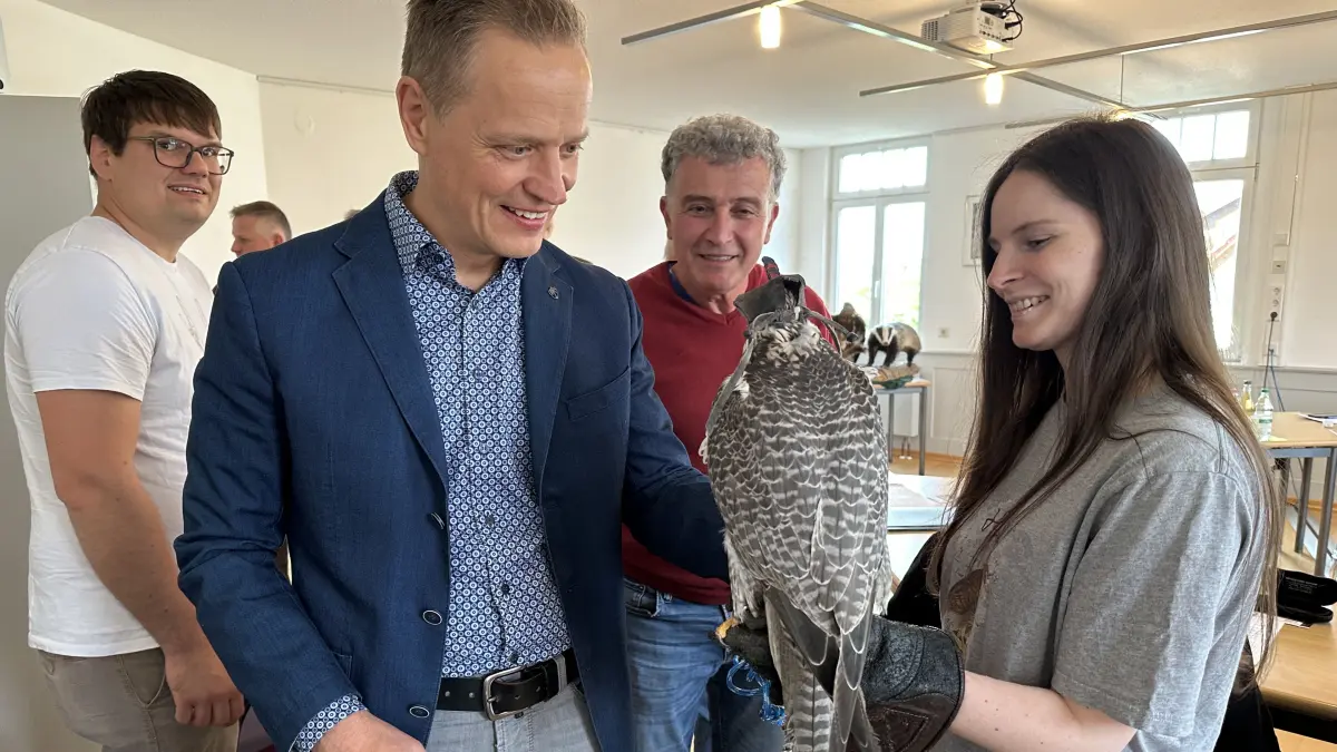 Bürgermeister Horst Lehmann und der Dormettinger Gemeinderat zeigten sich faziniert vom Gerlanner Falken Ragnar, den Falknerin Robina Schellinger zur jüngsten Sitzung mitbrachte.