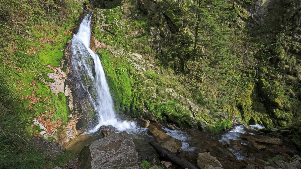 ARCHIV - 08.10.2014, Baden-Württemberg, Allerheiligen: ARCHIV - Wasserfälle bei Allerheiligen (Baden-Württemberg) sind am 09.10.2014 im Nationalpark Nordschwarzwald zu sehen. Foto\ Ronald Wittek/dpa (zu lsw Meldung\ «Nationalpark Schwarzwald» vom 03.07.2015) +++(c) dpa - Bildfunk+++ (zu dpa: «17-Jähriger stürzt nach Unfall in Bach - schwer verletzt») Foto: Ronald Wittek/dpa +++ dpa-Bildfunk +++