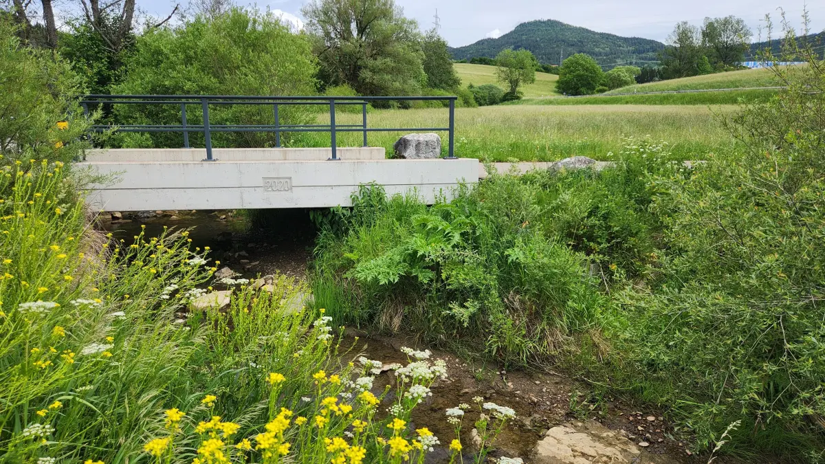 Starzel (Prim) unterhalb von Schörzingen, hinten Lemberg