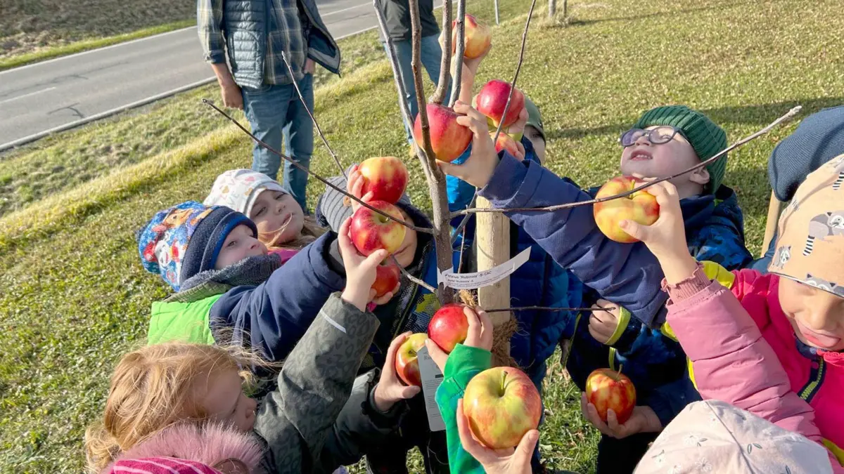 Der Obst- und Gartenbauverein Irslingen (hier bei einer Obstbaumpflanzaktion zusammen mit den Kindergartenkindern) möchte sein Angebot erweitern und eine Naturgruppe für Kinder gründen.