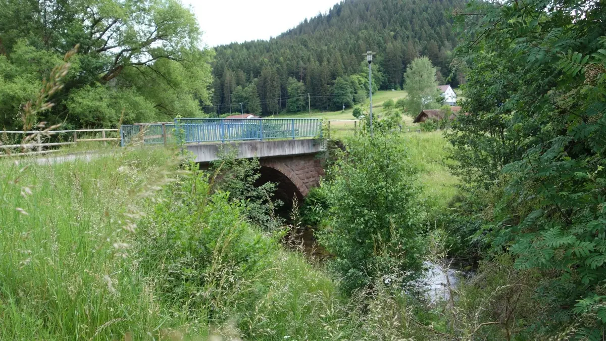 Statt der Brücke über die Große Enz ins Rohnbachtal würde sich hier – wären die Pläne der EVS von 1951 zum Tragen gekommen – wohl ein Stausee zur Versorgung eines Kraftwerks beim Wildbader Windhof mit Triebwasser ausdehnen.