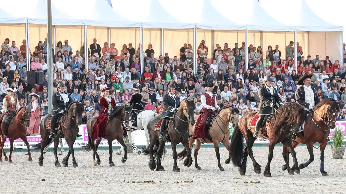 Beeindruckend ist der Showabend beim Fest der Pferde im vergangenen Jahr.