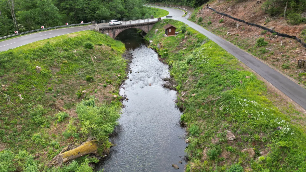 Guldenbrücke