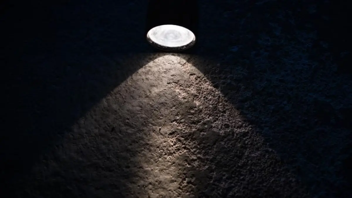 Taschenlampe Dunkel Lampe Düster Einbruch Einbrecher Schwabo Symbolfoto OV LZ Blaulicht