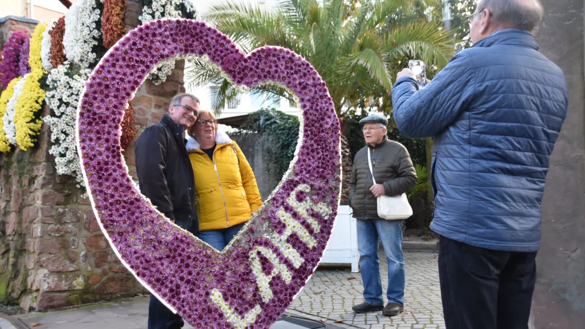 Das Blumenherz ist ein beliebtes Fotomotiv auf der Chrysanthema