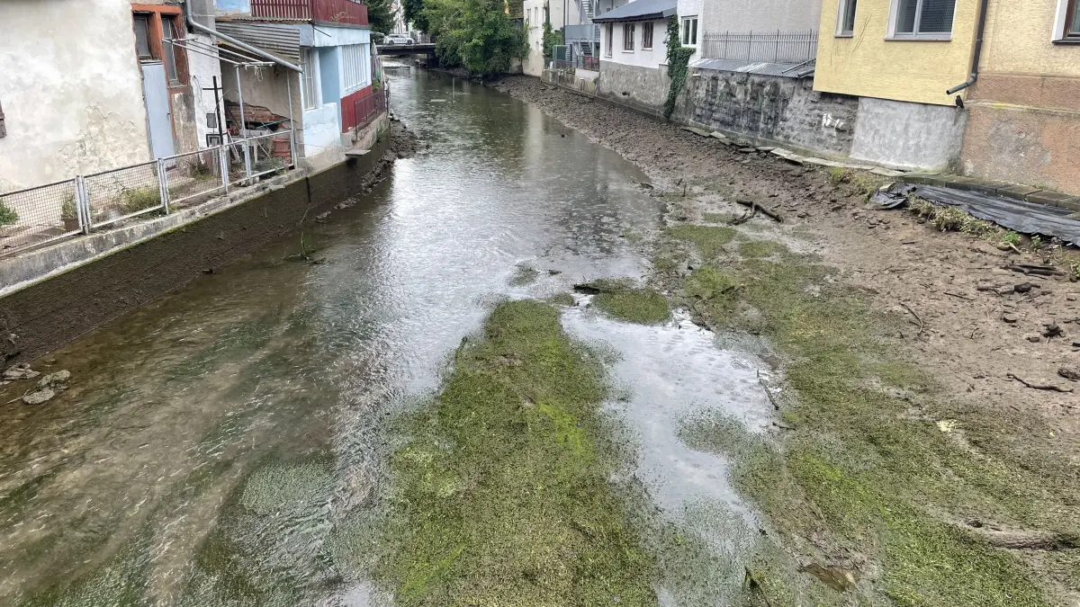 Im Mühlkanal sank der Wasserpegel am Dienstag plötzlich deutlich