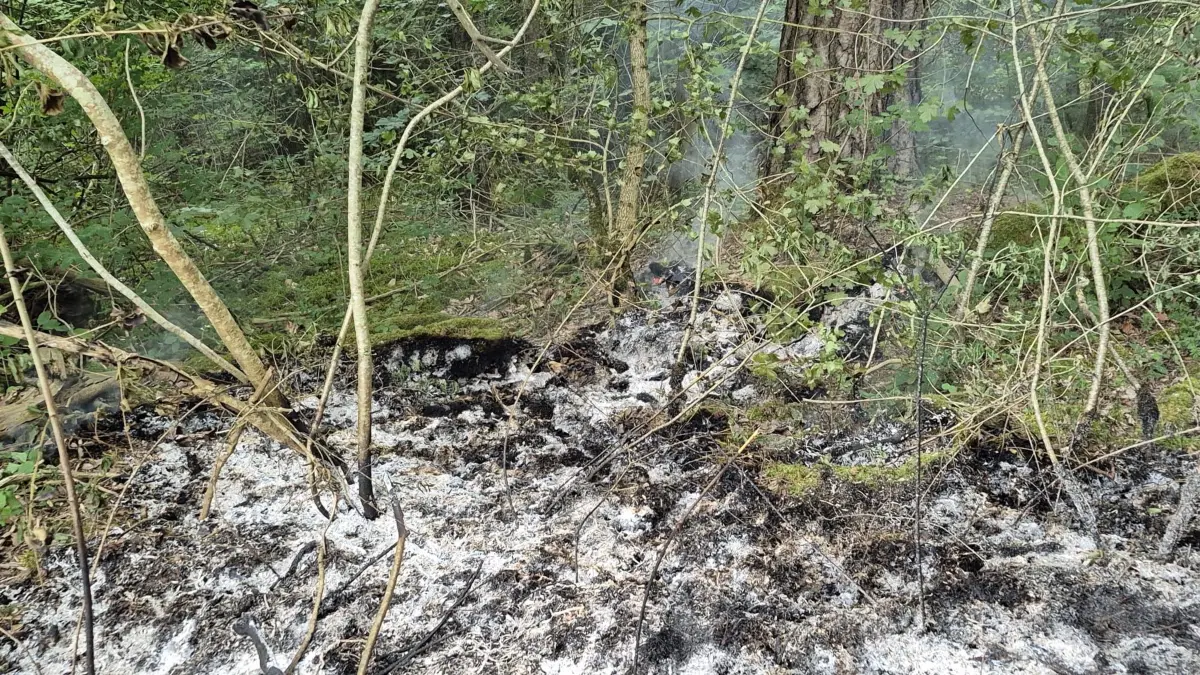 Feuerwehr Dornstetten