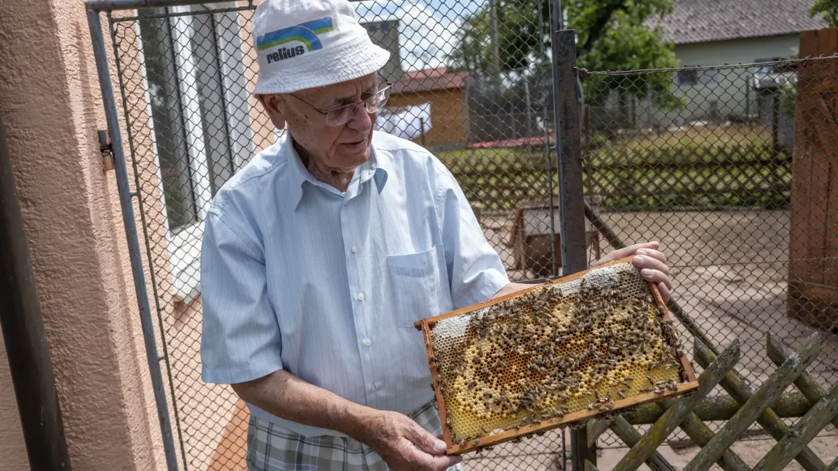 Hobbyimker Horst Huber liebt die Arbeit mit seinen Bienen.