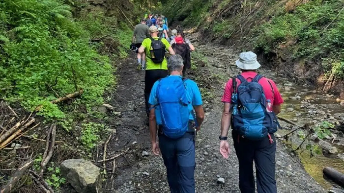 Das Foto zeigt Wanderer bei der 24-Stunden-Wanderung der SG Empfingen. (Archivfoto)