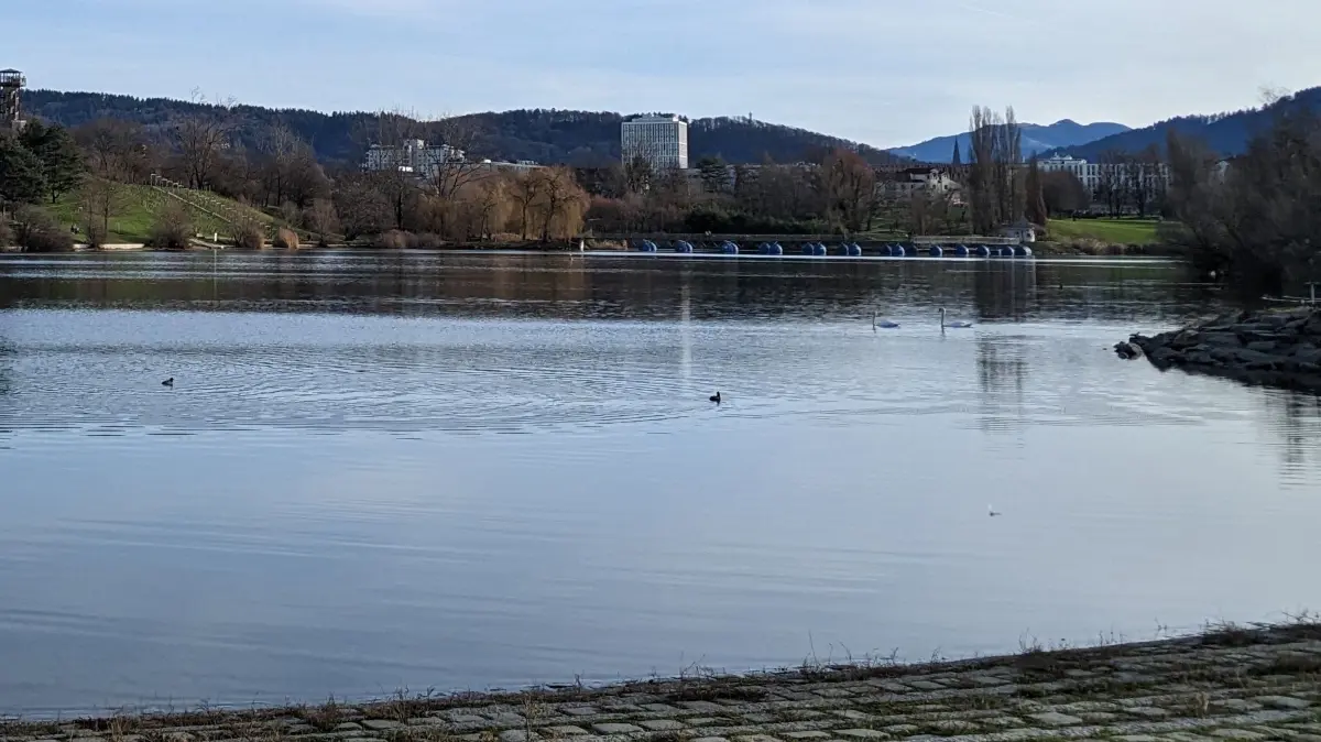 Flückigersee in freiburg