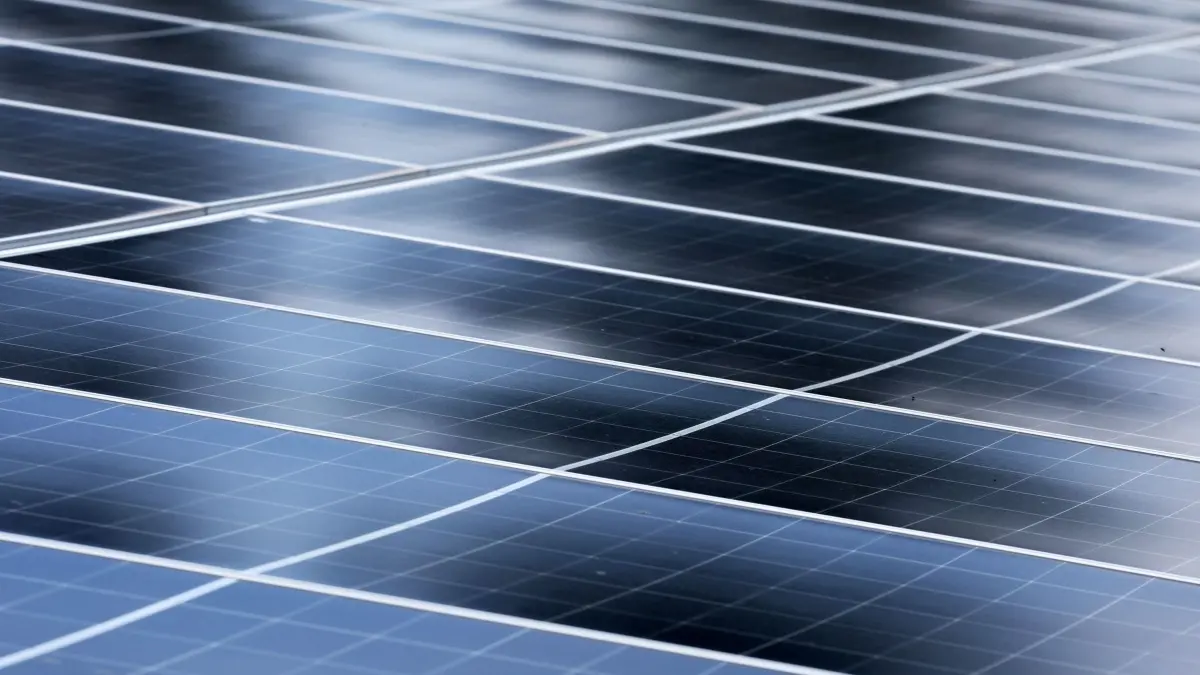 Photovoltaikanlagen: ARCHIV - 16.07.2025, Mecklenburg-Vorpommern, Boldekow: Reihen von Photovoltaik-Modulen in einem Solarpark in Deutschland. (Symbolbild) (zu dpa: «Sachsen will Photovoltaik-Anlagen im Wald stoppen») Foto: Bernd Wüstneck/dpa +++ dpa-Bildfunk +++