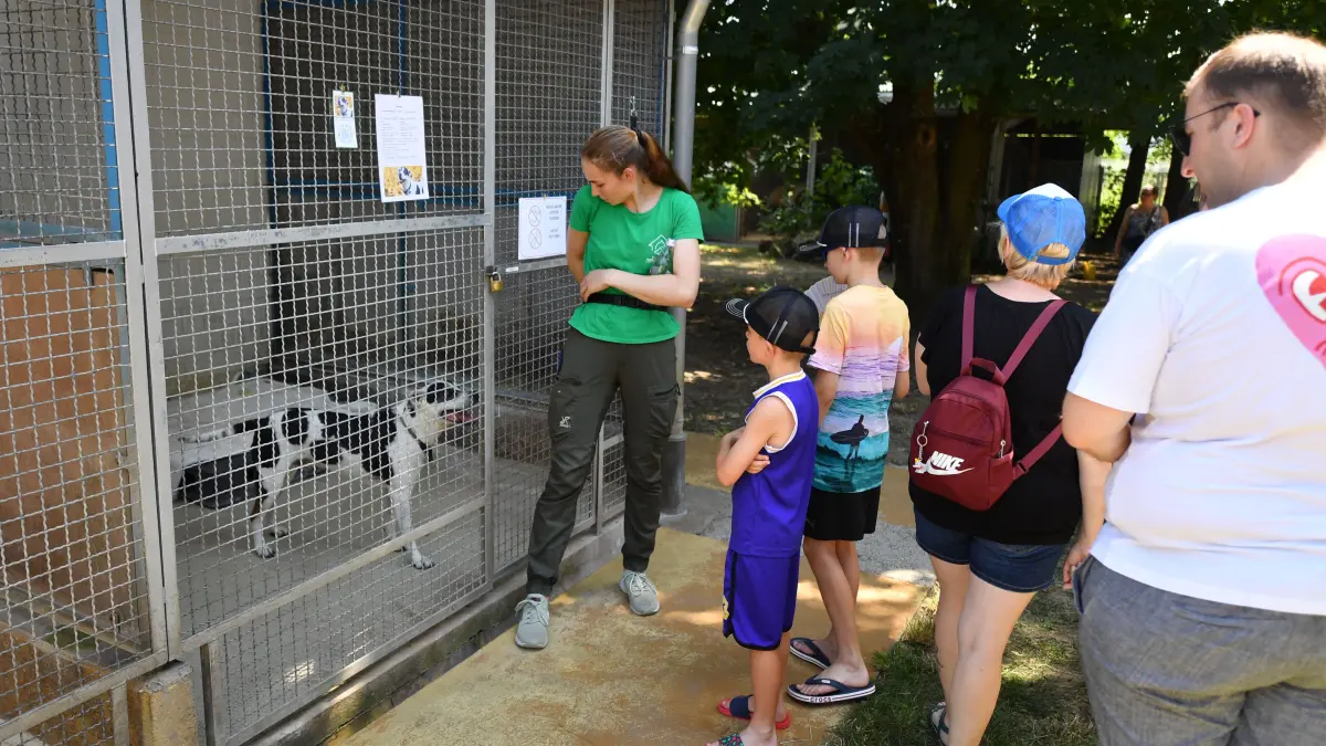 Der Tag der offenen Tür im Lahrer Tierheim stieß auf großes Interesse.
