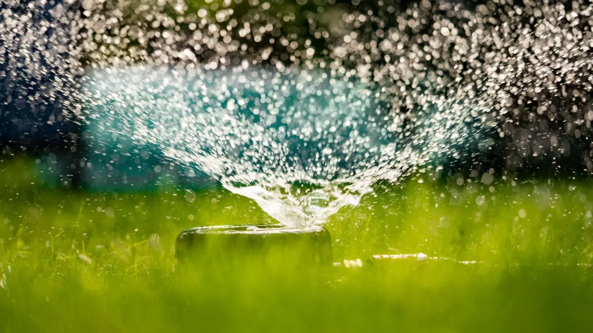 Kein unnötiger Wasserverbrauch: ARCHIV - 10.08.2020, Hessen, Frankfurt/Main: Illustration - Ein Rasen in einem Frankfurter Garten wird mit Wasser gesprengt. Erste hessische Kommunen sprechen bereits vom Notstand bei der Wasserversorgung und Versorger und Verbände mahnen zum umsichtigen Gebrauch von Wasser. (zu dpa: «Trinkwasser: Wo Hessens Kommunen zum Wassersparen aufrufen») Foto: Frank Rumpenhorst/dpa +++ dpa-Bildfunk +++