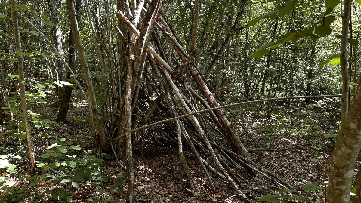 Im Zauberwald in Nagold gibt es viel zu entdecken.
