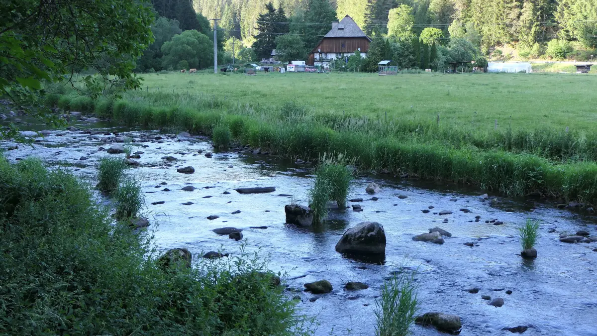 Breg warm Hitze Vöhrenbach Hammereisenbach