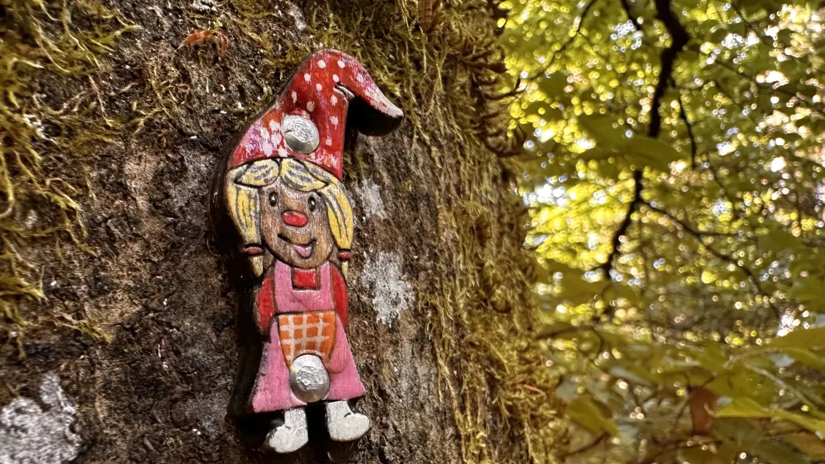 Im Zauberwald in Nagold gibt es viel zu entdecken.