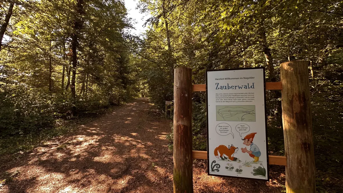 Im Zauberwald in Nagold gibt es viel zu entdecken.