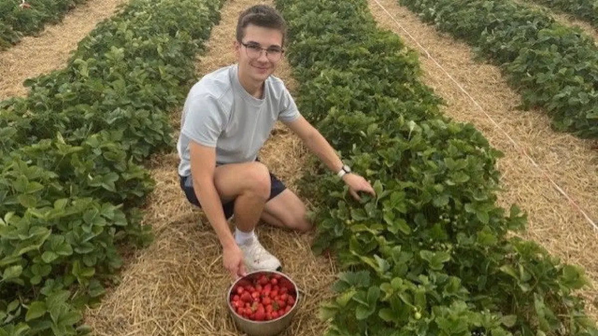 Fleiß gehört zu einer guten Ernte dazu, der Spaß an der Arbeit im Freien ist gratis.