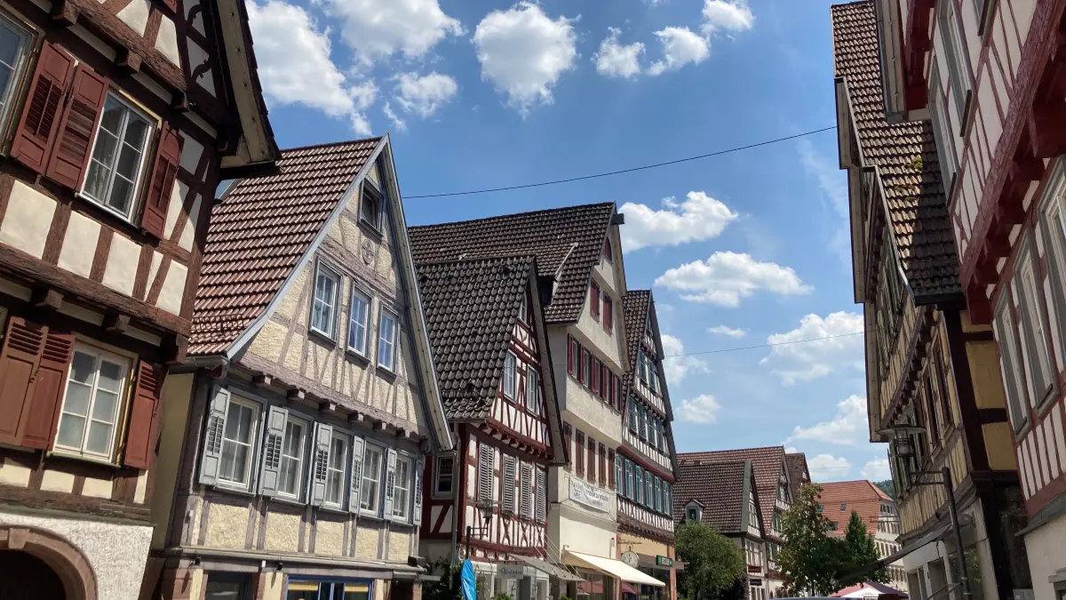 Calw