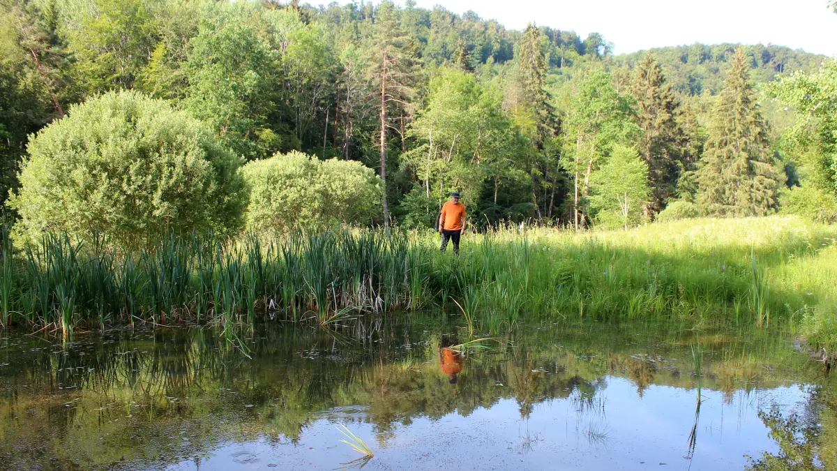 Scharlenbachtal Burladingen Starzeln