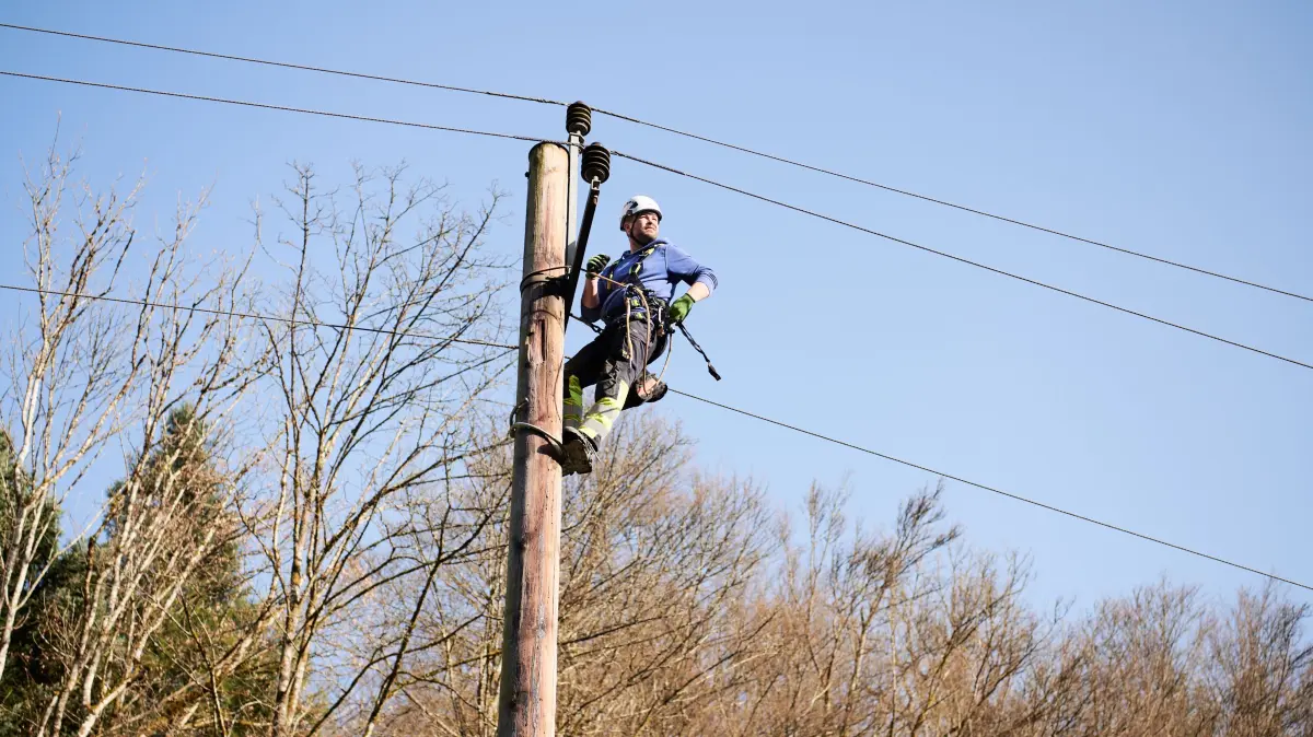 Die EWS verpachtet ihr Stromnetz an die Badenova.