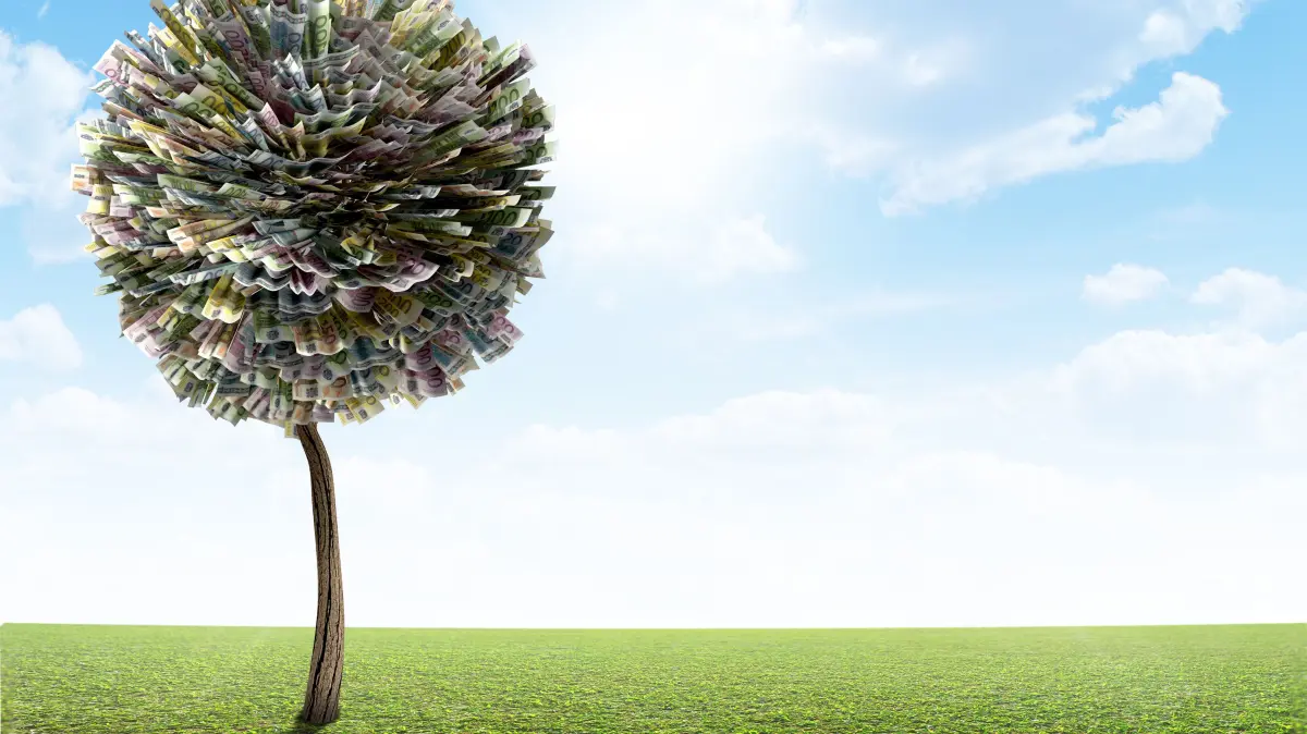 A stylized fantasy mythical european euro money tree on a green lawn and blue sky backgroud