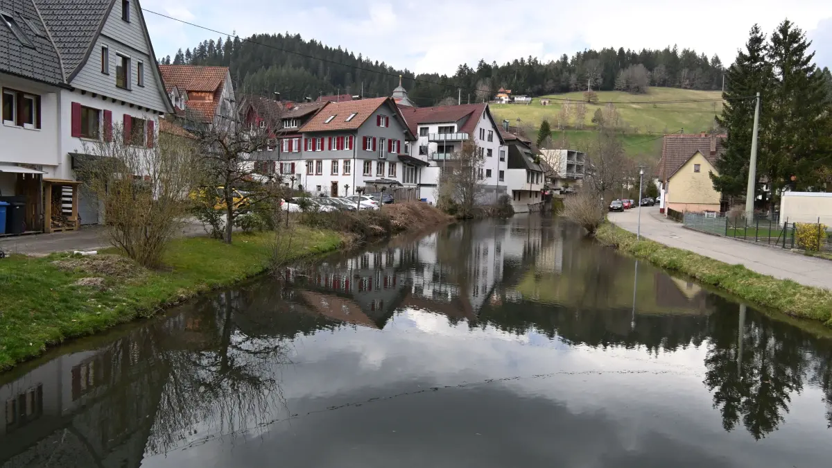 Das Starkregenrisiko-Management soll beispielsweise den Anwohnern der Kinzig und Reinerzau helfen, Vorsorge gegen Hochwasser nach einem Starkregenereignis zu treffen.