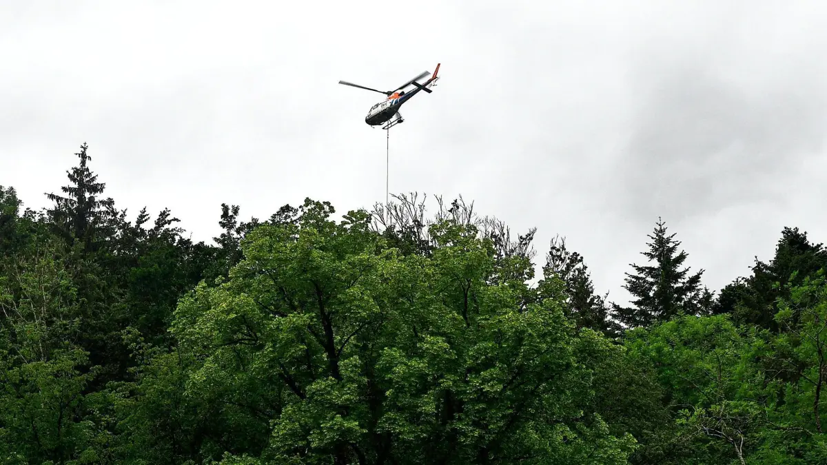 Beladen mit Holzstämmen kreiste der Helikopter über dem Schlossberg.
