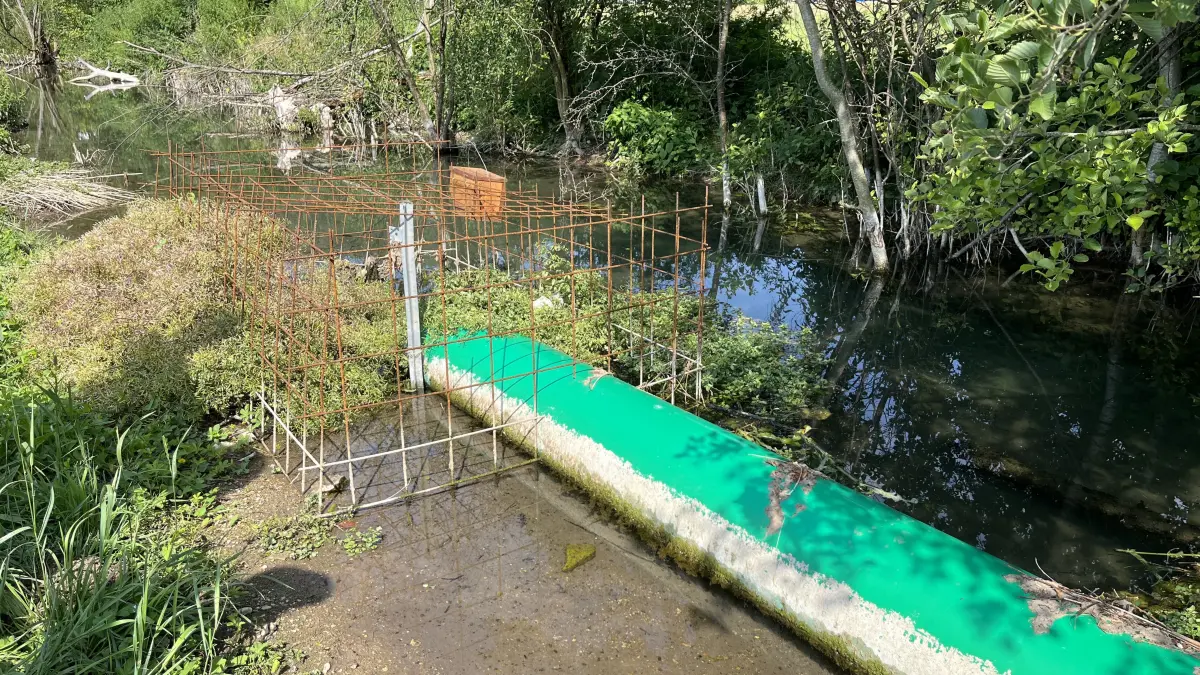 Drainagerohr am Rexinger Bach bei Horb