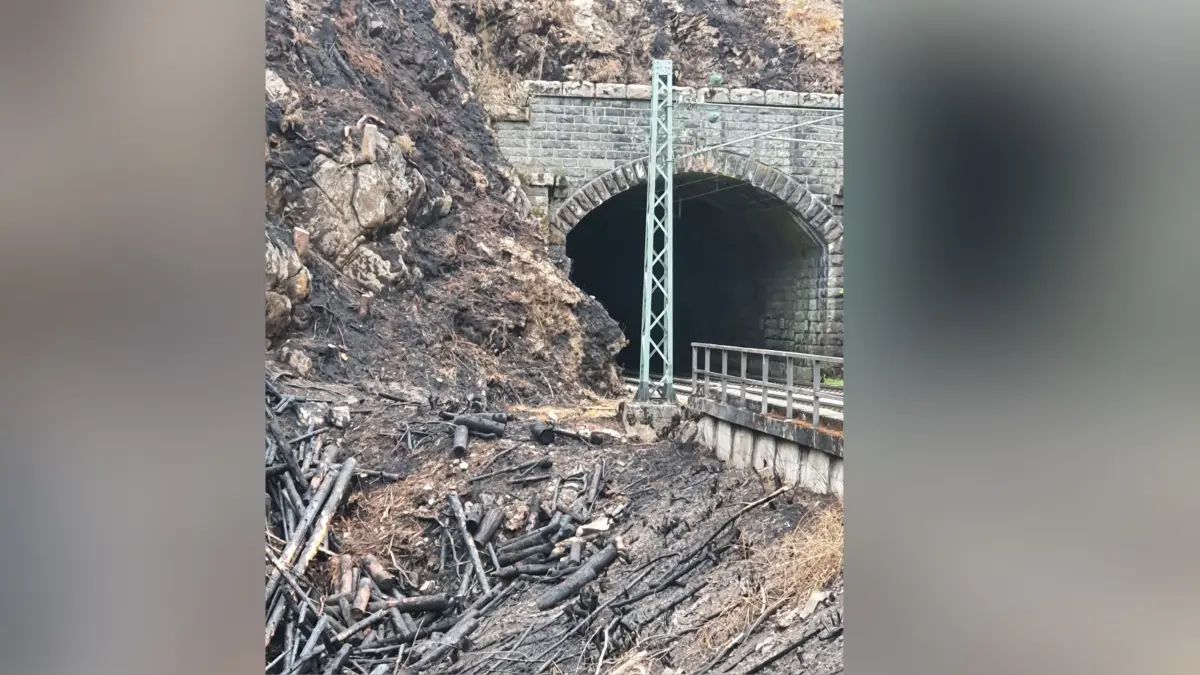 Im Juli 2022 brannte dieses Waldstück entlang der Schwarzwaldbahn bei Triberg. Und wie sieht aktuell die Waldbrandgefahr aus? Fachleute aus dem Landratsamt geben hierzu Auskunft. (Archivfoto)