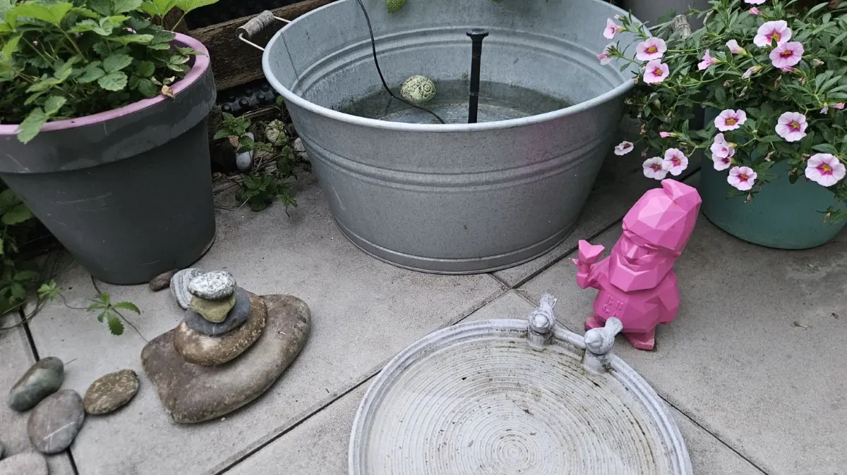Wassertränken und nicht benutzte Brunnen können Brutstätten der Asiatischen Tigermücke sein. Nach spätestens vier Tagen sollte das Wasser jeweils ausgekippt werden, rät Ralf Blubacher.
