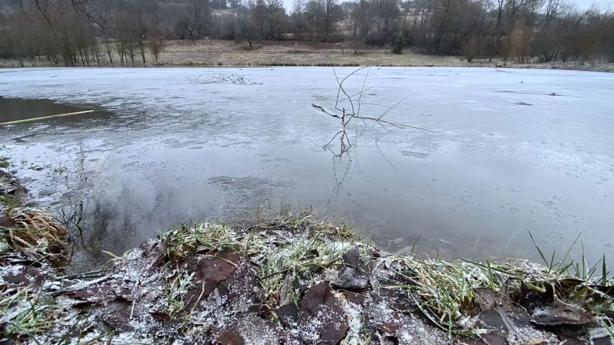 Gültlinger See Eis