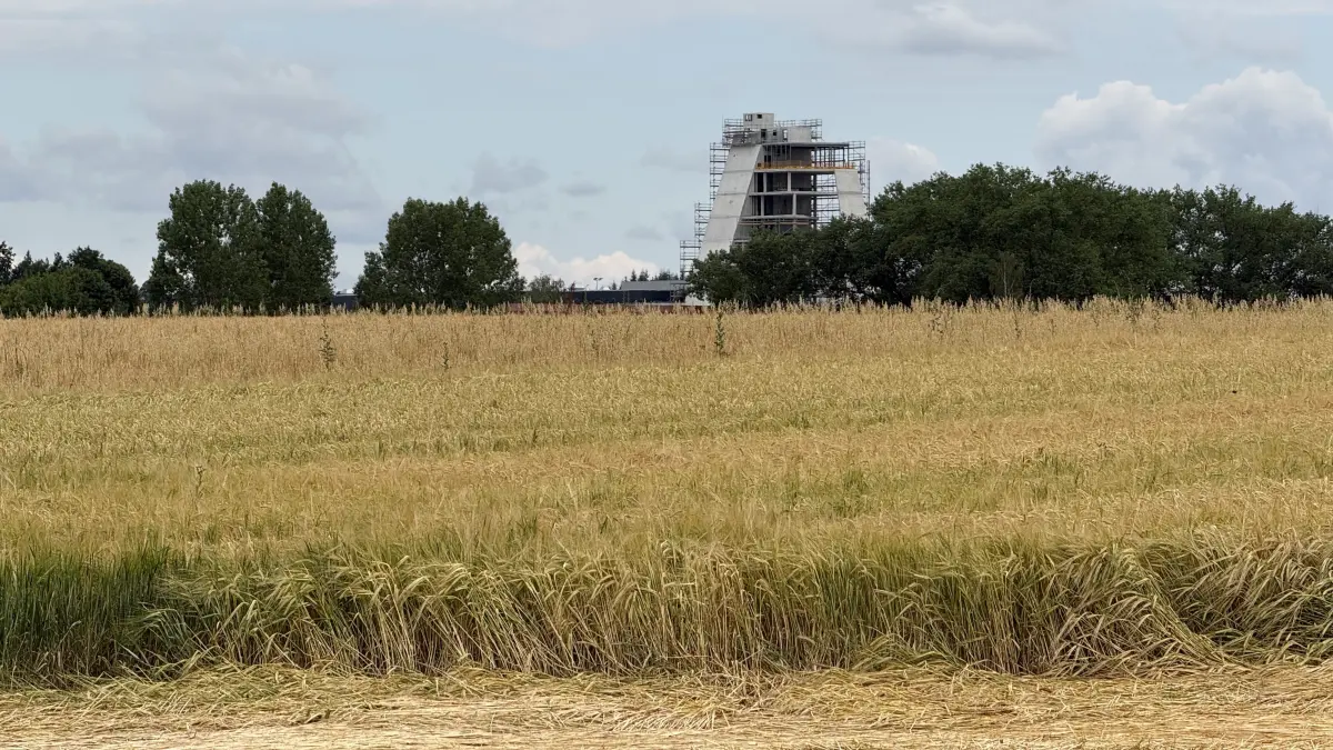 Die Erweiterungsflächen für das Industriegebiet Wolfsberg in Nagold.