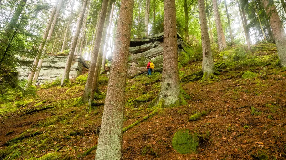 Auf dem „Wasser-, Wald- und Wiesenpfad" lässt es sich auch bei Hitze aushalten.