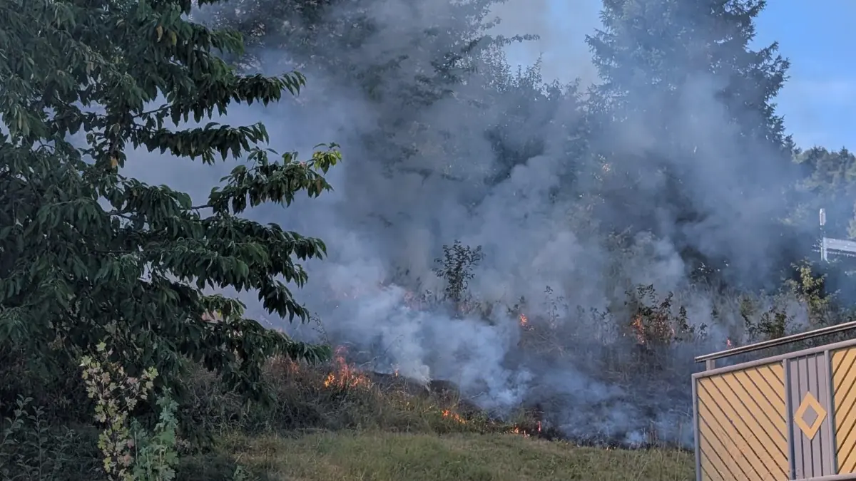 Flächenbrand Horb Dettingen