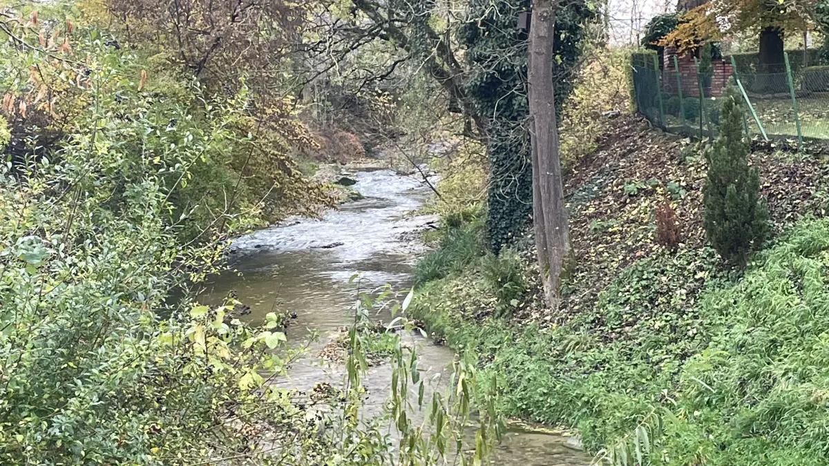 In Laufen an der Eyach kommt es, vor allem im Bereich des Steinbachs, öfter zu Hochwasserereignissen, wenn Starkregen einsetzt. Dem soll mit einer entsprechenden Maßnahme im Bereich der Dobelstraße entgegengewirkt werden.