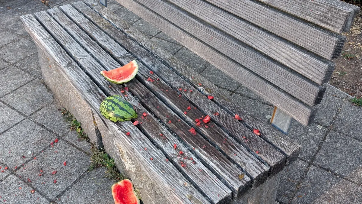 Am hellen Donnerstagabend zwischen 18 und 19 Uhr wurde diese Ruhebank im Eingangsbereich der Betreuten Wohnanlage durch Wassermelonen stark verunreinigt, so dass diese bis zur Reinigung nicht nutzbar war.