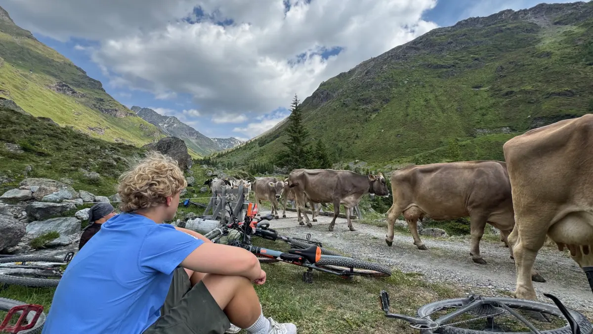 Begegnung der alpinen Art: Eine vorbeiziehende Rinderherde verschafft auf der Alp d’Err,eine unfreiwillige, aber willkommene Pause.